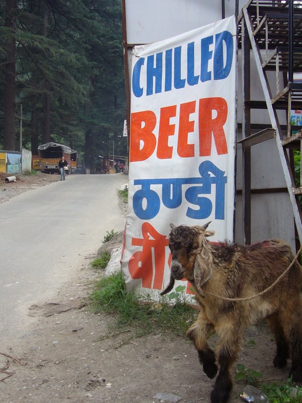 Travel - India - Himachal Pradesh - Parvati Valley - Kassol